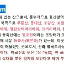 동축사입구 공영주차장 이미지