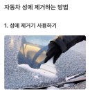 자동차 성에 제거 방법과 예방법 이미지