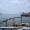 시티투어부산 | 내돈내산 부산시티투어버스 스펀지밥 실제관람 후기 해동용궁사 쉽게 가는 법 코스추천