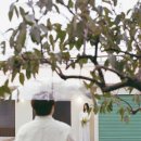 어 타이니 리틀피스 이미지