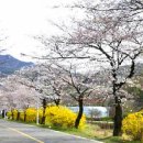 시영아파트 이미지