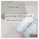 신세계백화점라코스테우먼