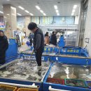 사라유통 이미지