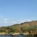 카페고래