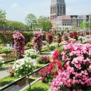 장미하우스 이미지