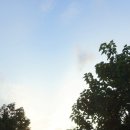 재송시장 이미지