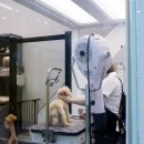 미쓰박 펫 살롱 이미지