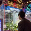 개구리게임장 이미지