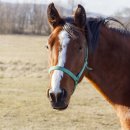 소설로 배우는 영어 이미지