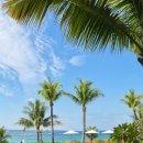 비치테라스 | 오키나와 북부 - 부세나테라스, 츄라우미수족관, 에메랄드비치, 비세자키 솔직후기