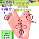 명치끝이 아프고 속이 더부룩한데 이미지