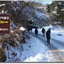 강릉커피박물관 이미지