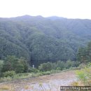 양양 진전사지 도의선사탑 | 양양 진전사(1)-진전사지 도의선사탑