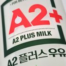 홍진목장 네이버블로그