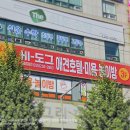 하이도그 이미지