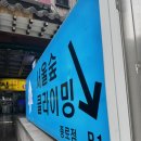 종로 놀거리 추천 | 서울숲 클라이밍 종로점 강추 후기