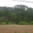 전원오토캠핑장 이미지