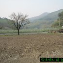 은계초등학교 이미지