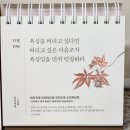 11월 3주