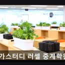 서울 노원구 입시학원 추천 메가스터디 러셀 중계학원 메가스터디 러셀 중계학원, 체계적인 수업 인기