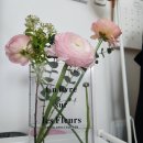 세컨드홈 | [W.14] 원세컨드 스튜디오 웨딩촬영 홈 셀렉, 앨범&amp;액자 픽업 후기