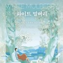 리스타트 안경 | 화이트 멀버리..로사 권 이스턴