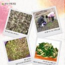 토성민속마을 이미지