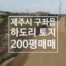 하도보건진료소 네이버블로그