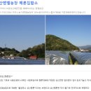 벧엘농장 네이버블로그