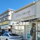 시크릿 | 포항다이어트 누워서 다이어트 가능한 셀포랩시크릿 솔직후기