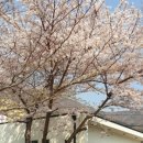 일운담소 이미지