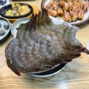 대학동-18 | 신림 대학동/녹두거리 바닷가 막회 생새우회, 새우소금구이 맛집 추천 (내돈내산 후기)