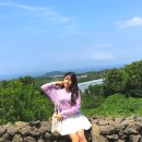 다다목장 이미지