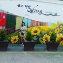 경암철길마을 이미지