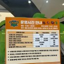 키즈카페 방문 후기! 아들과 함께한 신나는 시간 (feat. 고고다이노키즈카페 다산현대캠퍼스몰점)