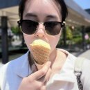 [후기] 우리 임산물 숲푸드 대축제