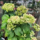 인덕원역 1번출구 이미지