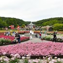 19시19도