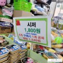 비오비애완용품아울렛