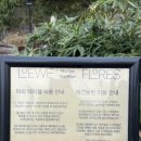 대구 북구 서변동 팔공산 근처 브런치 카페 “로에베 플로레스” 후기