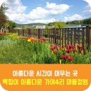 가야리경로당 이미지