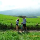 처남목장 이미지