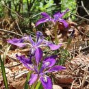 남천리 산촌체험마을 이미지