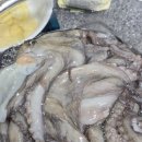 덕영수산