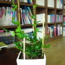 아이비환경(주) 이미지