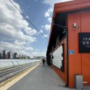 가평솥뚜껑볶음탕춘천점 | [춘천맛집] 주말나들이 춘천 가평 솥뚜껑 닭볶음탕