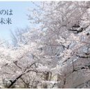 국사관(유도) 이미지