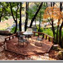 화가의정원 이미지