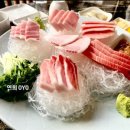 한참치 이미지