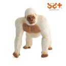 고릴라 소프트 이미지